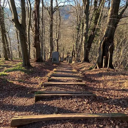 Διαμέρισμα Terrasses De - Duplex 