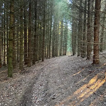 Terrasses De - Duplex 