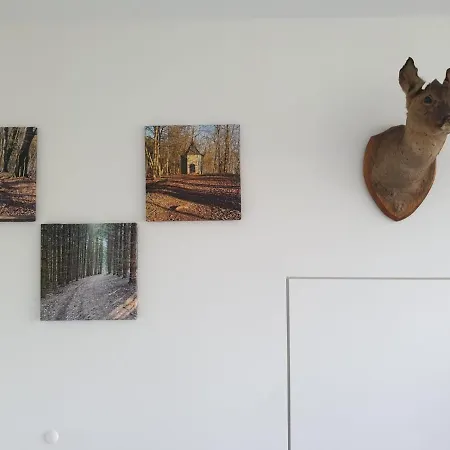 Terrasses De - Duplex 