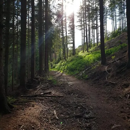 Apartment Terrasses De - Duplex 