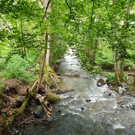 Terrasses De - Duplex 