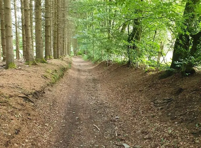 Terrasses De - Duplex 