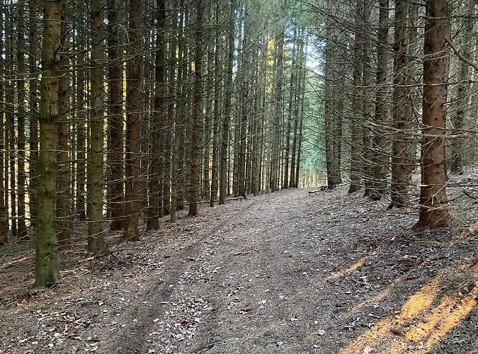 Terrasses De - Duplex 