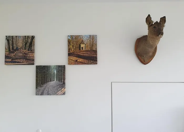 Terrasses De - Duplex 