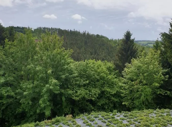 Terrasses De - Duplex 