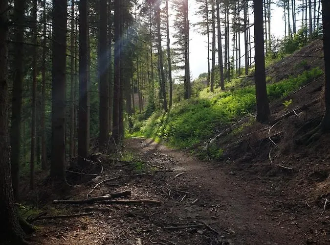 아파트 Terrasses De - Duplex 