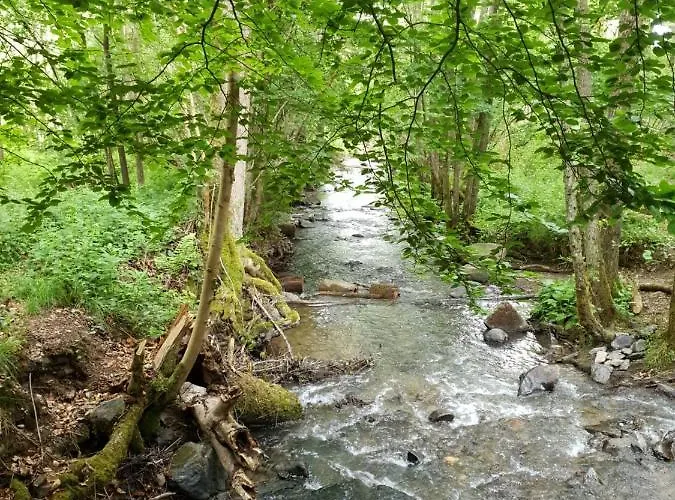Terrasses De - Duplex 